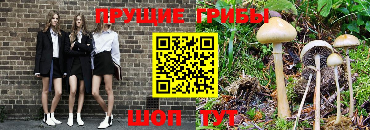 Электросталь  Галлюциногенные грибы MAGIC MUSHROOMS  Галлюциногенные грибы Cubensis  Вход с VPN 