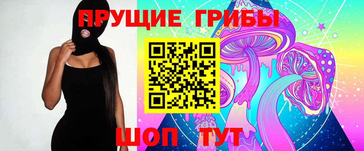 Галлюциногенные грибы Cubensis Электросталь